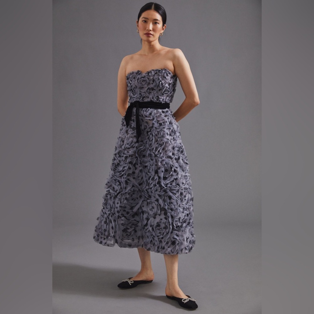 Geisha Designs x Anthropologie Appliquéd Tulle Strapless Midi Dress Ball Gown 6